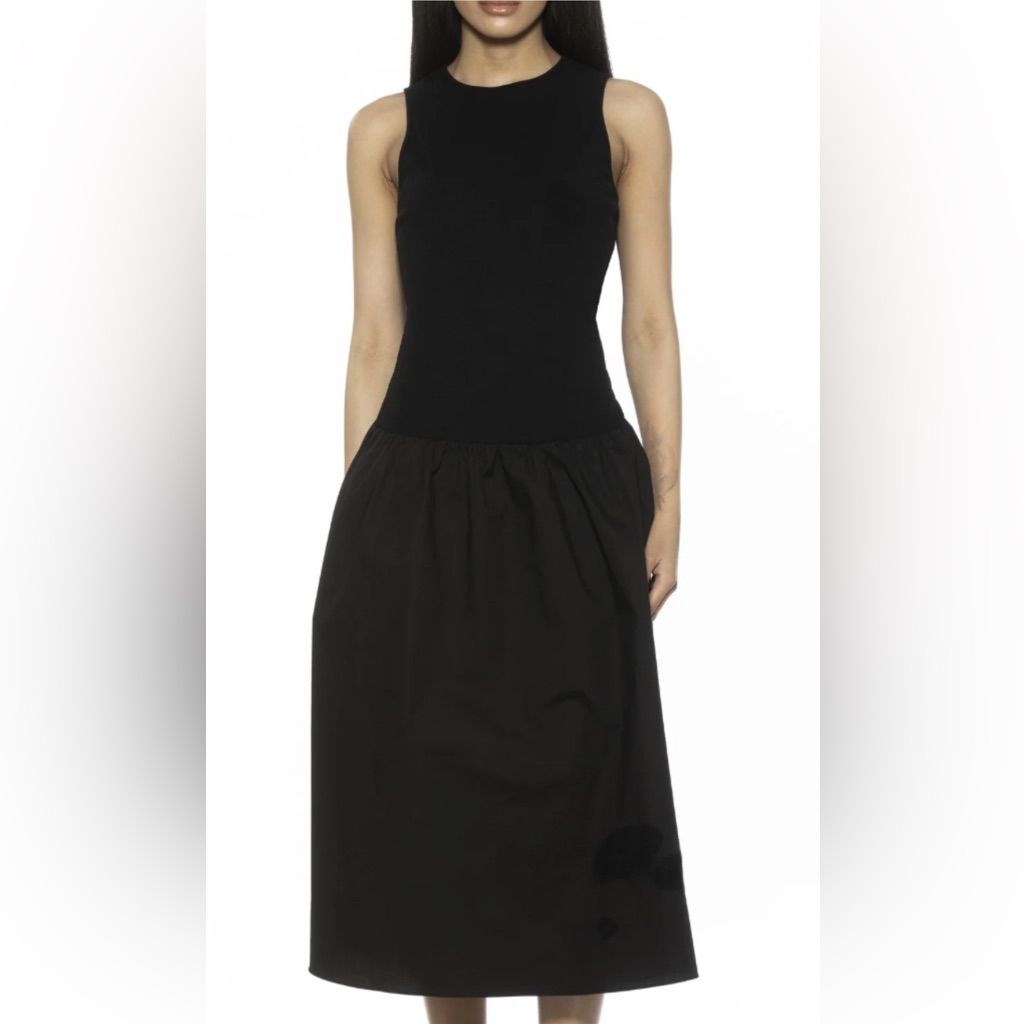 Alexia Admor Lyle Black Dress Size 12